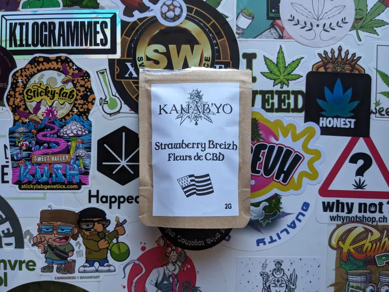 Découverte du producteur Kanab&rsquo;Yo !