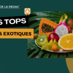 Les meilleures fleurs CBD exotiques et singulières