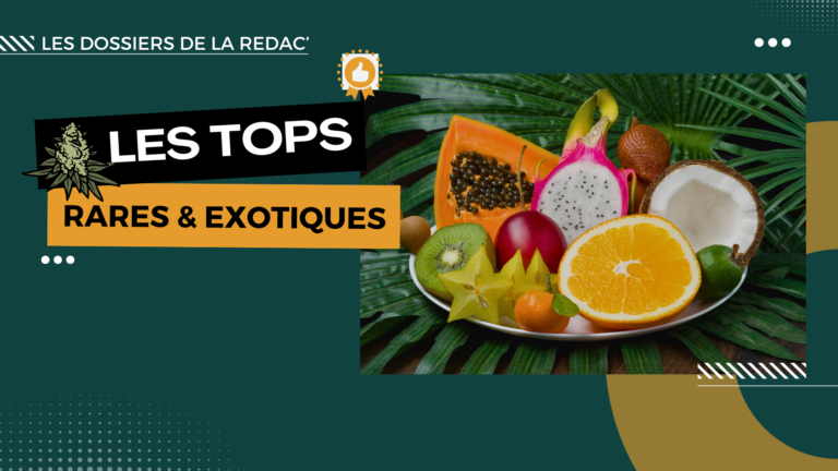 Les meilleures fleurs CBD exotiques et singulières