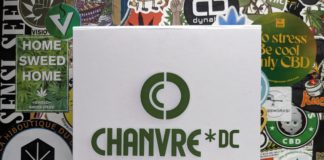 On découvre Chanvre DC !