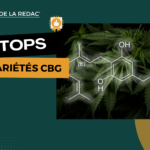 Les meilleures fleurs CBG