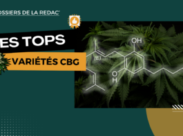 Les meilleures fleurs CBG