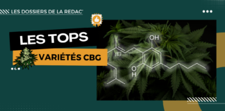 Les meilleures fleurs CBG