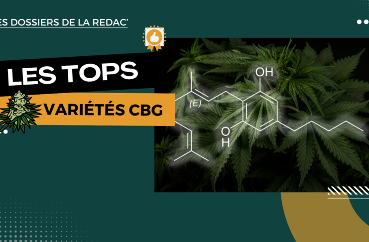 Les meilleures fleurs CBG