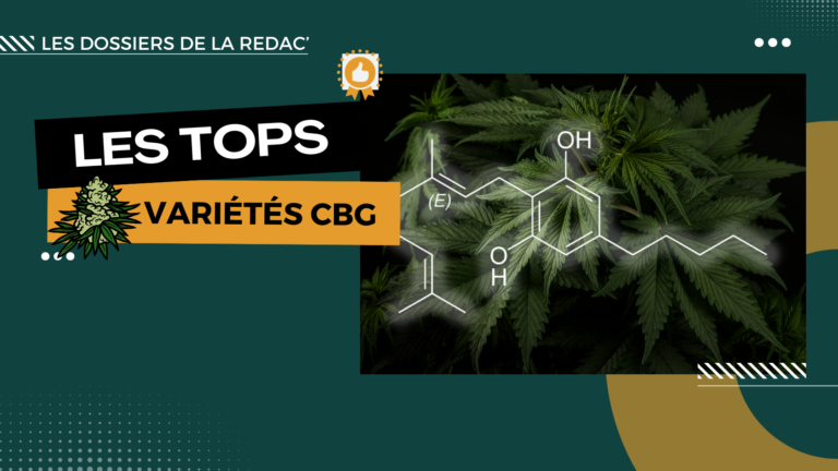 Les meilleures fleurs CBG