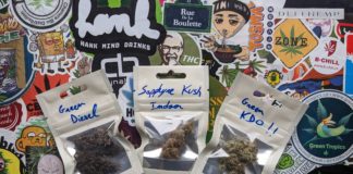 La Tête Française, découverte