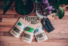 Shiva Blends, rouler sans tabac