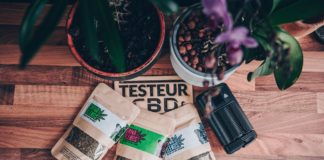 Shiva Blends, rouler sans tabac