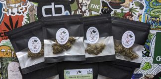 La Ferme Sauvageonne a encore frappé !