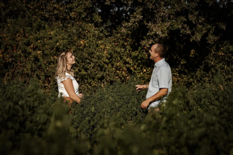 On teste les fleurs de Tomine (2024)