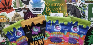 Je teste du Hash Piatella CBD !