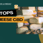 Les meilleures cheese CBD Top cheese