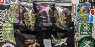 On a testé la Ferme de la Sauzy !