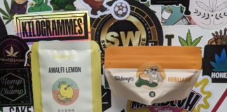 Tom Hemp’s : test de deux fleurs