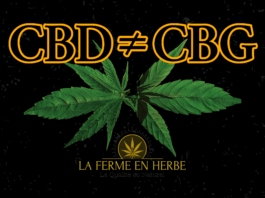 Quelles sont les différences entre le CBD et CBG ?