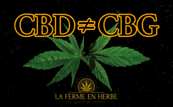 Quelles sont les différences entre le CBD et CBG ?