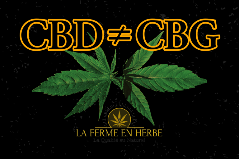 Quelles sont les différences entre le CBD et CBG ?