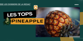 Notre sélection des meilleures Pineapple CBD (ananas)