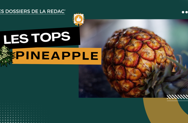 Notre sélection des meilleures Pineapple CBD (ananas)