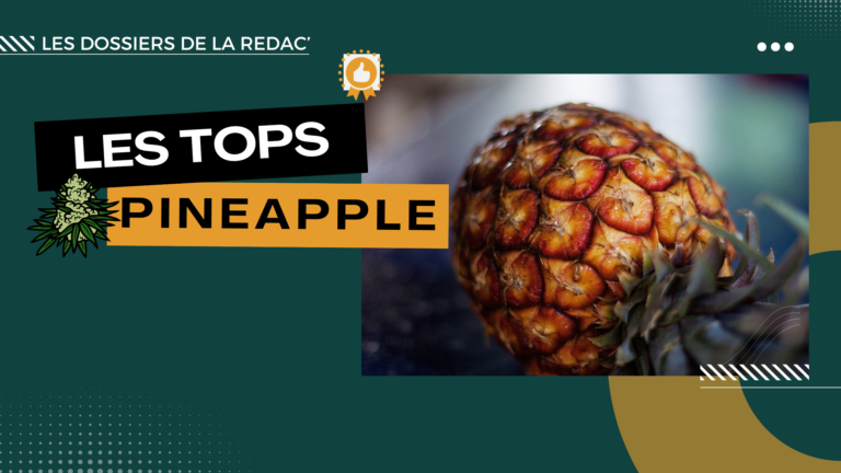 Notre sélection des meilleures Pineapple CBD (ananas)