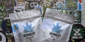 Mango Rambo à Maliboo (Honest)