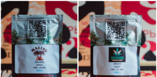 Je teste la Maliboo et la Drizzle (Honest)