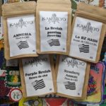 On teste à nouveau Kanab’Yo !