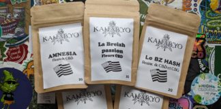 On teste à nouveau Kanab’Yo !