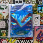 Test de l’Amnesia de LPDS (La Page du Stoner)