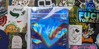 Test de l’Amnesia de LPDS (La Page du Stoner)