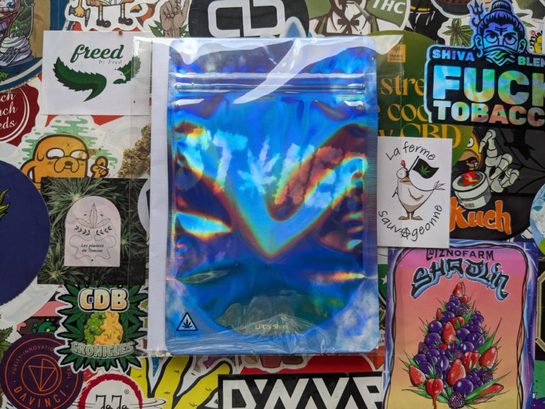 Test de l&rsquo;Amnesia de LPDS (La Page du Stoner)