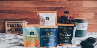 De nouvelles fleurs chez La Ferme en Herbe !