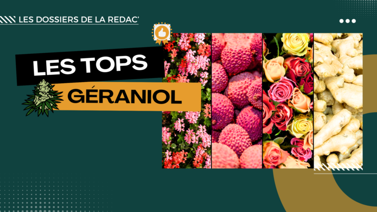 Les variétés CBD avec du géraniol (litchi-rose-geranium)