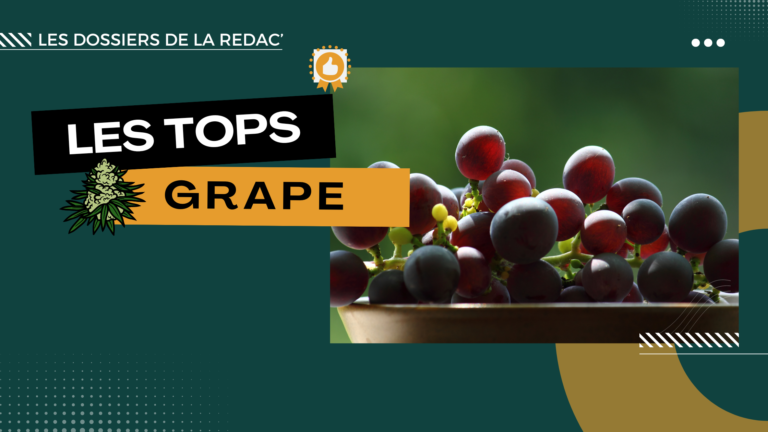 Notre sélection des meilleures variétés Grape CBD (raisin et vin)
