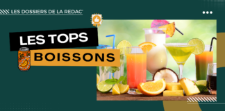Notre sélection des meilleures boissons CBD