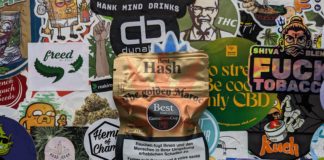 The Golden Maroc, le hash Biosativa (Cannaswisscup)