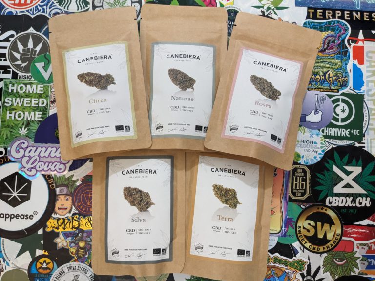 Je teste 5 autres variétés de Canebiera !