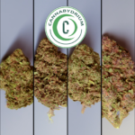 Nath et Max découvrent CannaByDrium
