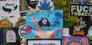 Je découvre Clean Gardens !