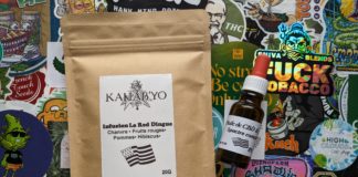 Huile et infusion (Kanab’Yo)