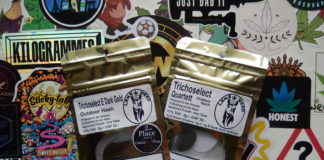 Lamaweed, médaille d’argent à la Cannaswisscup