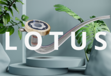 Vaporisateur Lotus : guide test