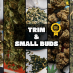 Sélection des petits budgets CBD (bas prix, trim et small buds)