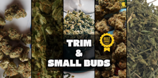 Sélection des petits budgets CBD (bas prix, trim et small buds)