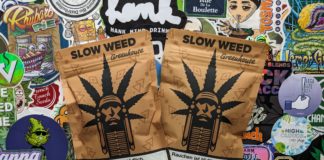 Candy Kush et Limoncello de Slow Weed (Cannaswisscup)
