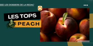 Notre sélection de fleurs Peach CBD (pêche)