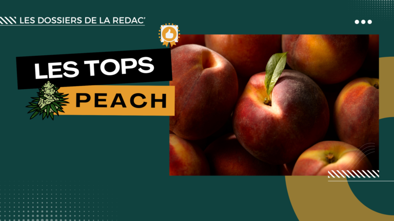 Notre sélection de fleurs Peach CBD (pêche)