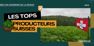 Les meilleurs producteurs suisses