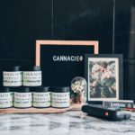 On teste les fleurs Cannacie 2024 !