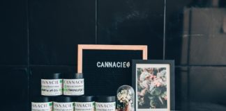 On teste les fleurs Cannacie 2024 !